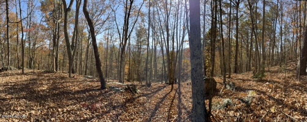 Parcel 053 050.00 Obes Branch Road Sevierville TN 37876