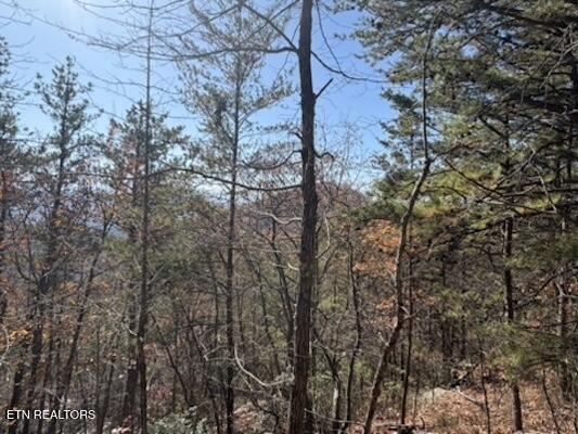 Parcel 053 050.00 Obes Branch Road Sevierville TN 37876