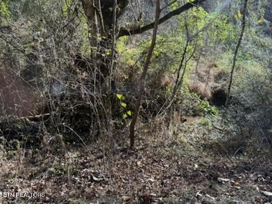 Parcel 053 050.00 Obes Branch Road Sevierville TN 37876