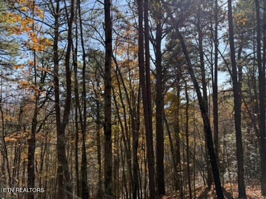 Parcel 053 050.00 Obes Branch Road Sevierville TN 37876