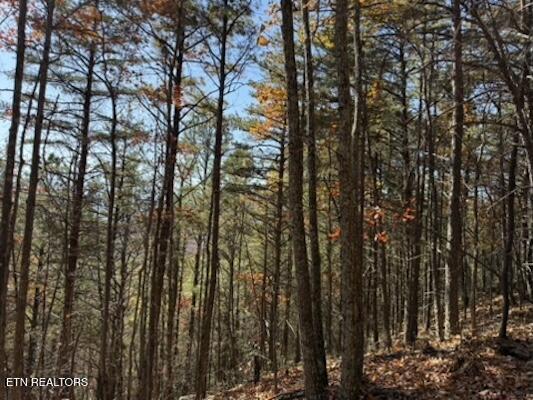 Parcel 053 050.00 Obes Branch Road Sevierville TN 37876