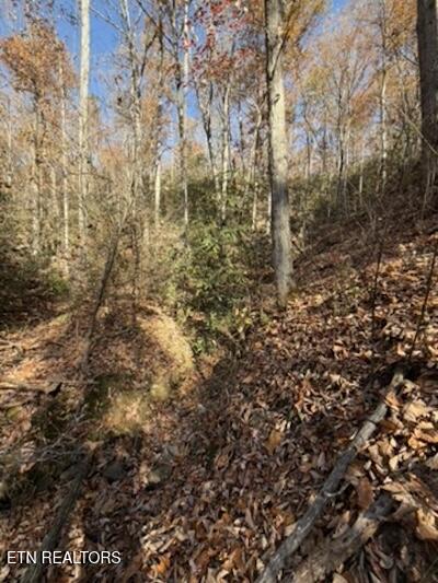 Parcel 053 050.00 Obes Branch Road Sevierville TN 37876