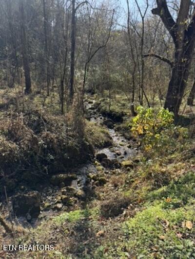 Parcel 053 050.00 Obes Branch Road Sevierville TN 37876