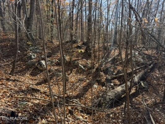 Parcel 053 050.00 Obes Branch Road Sevierville TN 37876
