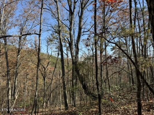 Parcel 053 050.00 Obes Branch Road Sevierville TN 37876