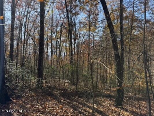 Parcel 053 050.00 Obes Branch Road Sevierville TN 37876