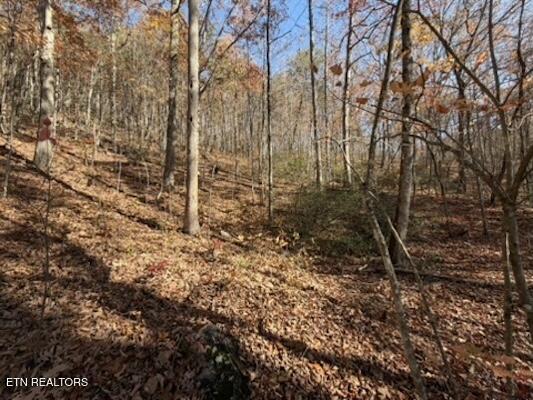 Parcel 053 050.00 Obes Branch Road Sevierville TN 37876