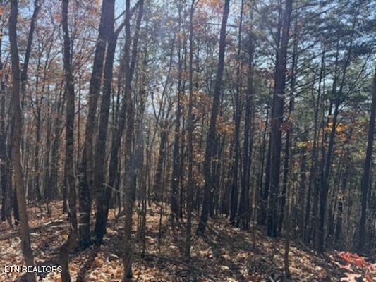 Parcel 053 050.00 Obes Branch Road Sevierville TN 37876