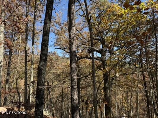 Parcel 053 050.00 Obes Branch Road Sevierville TN 37876