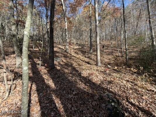 Parcel 053 050.00 Obes Branch Road Sevierville TN 37876