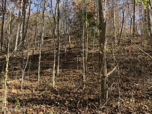 Parcel 053 050.00 Obes Branch Road Sevierville TN 37876