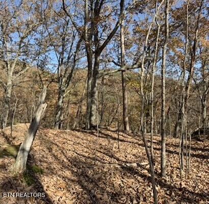 Parcel 053 050.00 Obes Branch Road Sevierville TN 37876