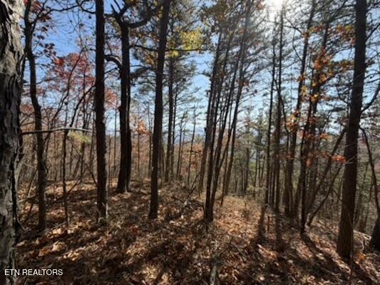 Parcel 053 050.00 Obes Branch Road Sevierville TN 37876