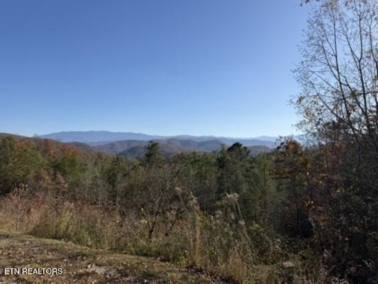 Parcel 053 050.00 Obes Branch Road Sevierville TN 37876