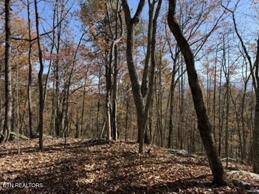 Parcel 053 050.00 Obes Branch Road Sevierville TN 37876