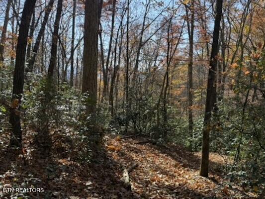 Parcel 053 050.00 Obes Branch Road Sevierville TN 37876
