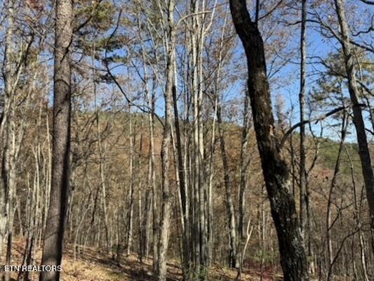 Parcel 053 050.00 Obes Branch Road Sevierville TN 37876