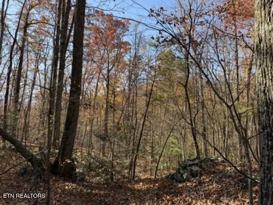 Parcel 053 050.00 Obes Branch Road Sevierville TN 37876
