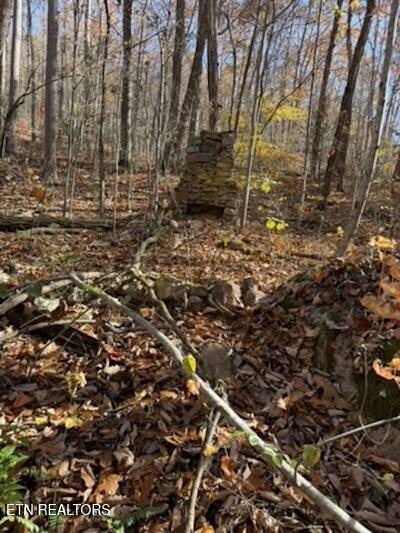 Parcel 053 050.00 Obes Branch Road Sevierville TN 37876