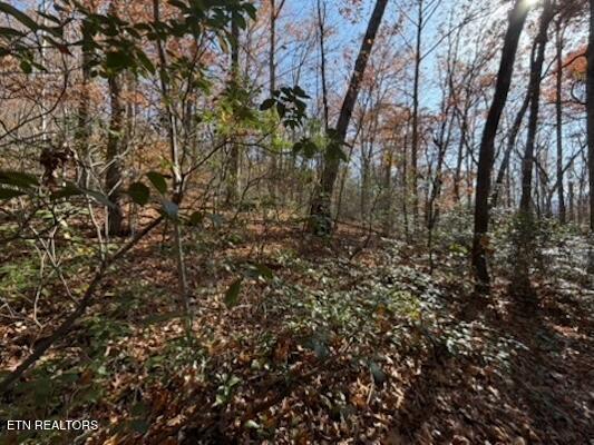 Parcel 053 050.00 Obes Branch Road Sevierville TN 37876