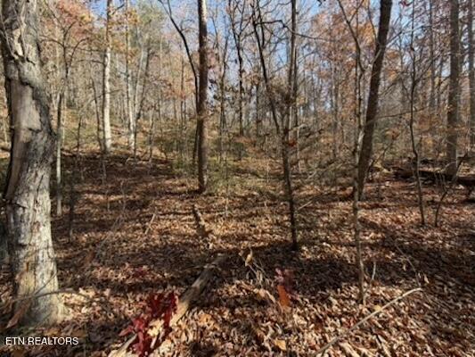 Parcel 053 050.00 Obes Branch Road Sevierville TN 37876
