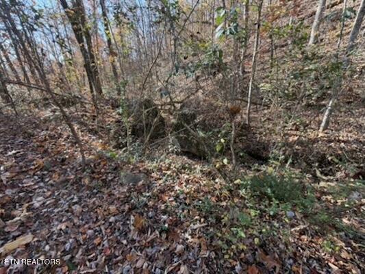 Parcel 053 050.00 Obes Branch Road Sevierville TN 37876