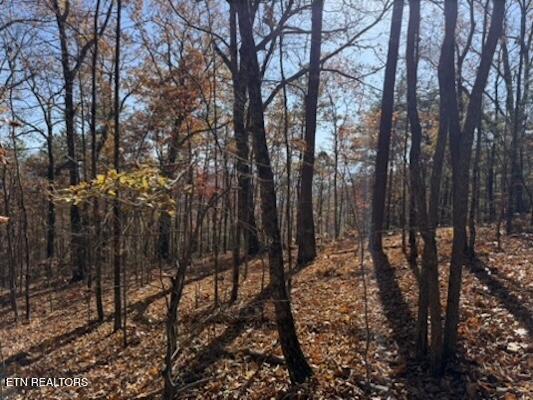 Parcel 053 050.00 Obes Branch Road Sevierville TN 37876