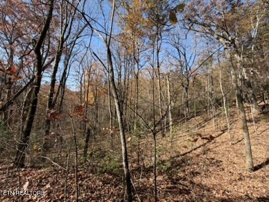 Parcel 053 050.00 Obes Branch Road Sevierville TN 37876