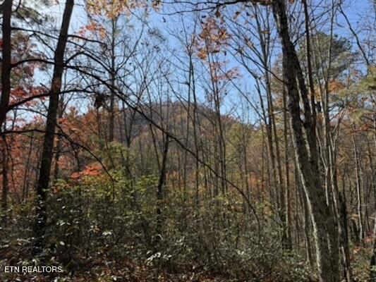 Parcel 053 050.00 Obes Branch Road Sevierville TN 37876