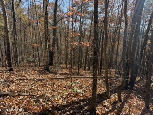 Parcel 053 050.00 Obes Branch Road Sevierville TN 37876