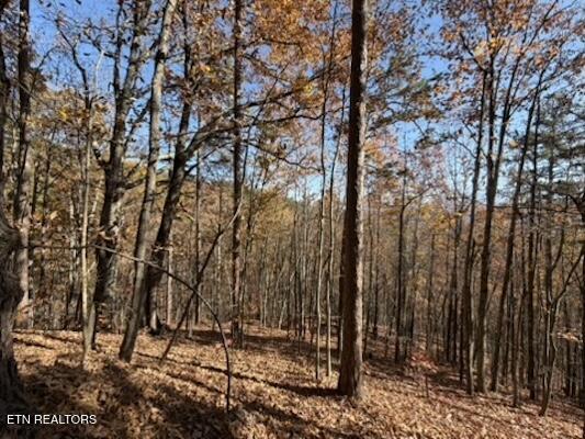 Parcel 053 050.00 Obes Branch Road Sevierville TN 37876