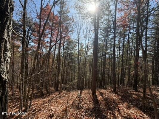 Parcel 053 050.00 Obes Branch Road Sevierville TN 37876