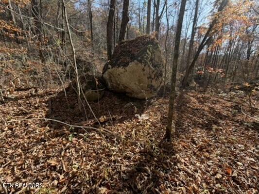 Parcel 053 050.00 Obes Branch Road Sevierville TN 37876