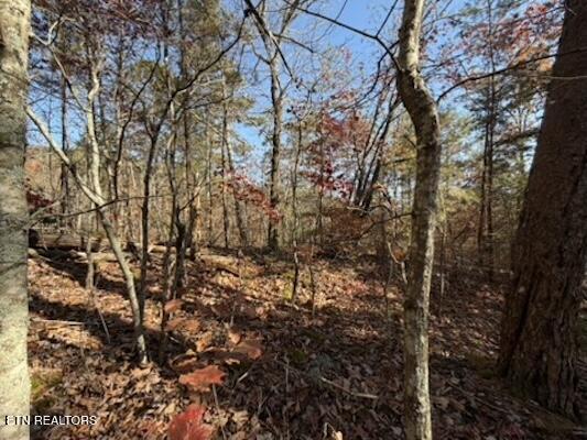 Parcel 053 050.00 Obes Branch Road Sevierville TN 37876