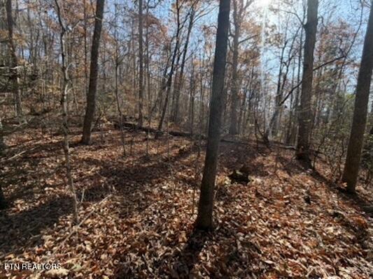 Parcel 053 050.00 Obes Branch Road Sevierville TN 37876