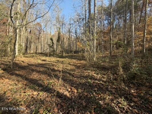Parcel 053 050.00 Obes Branch Road Sevierville TN 37876