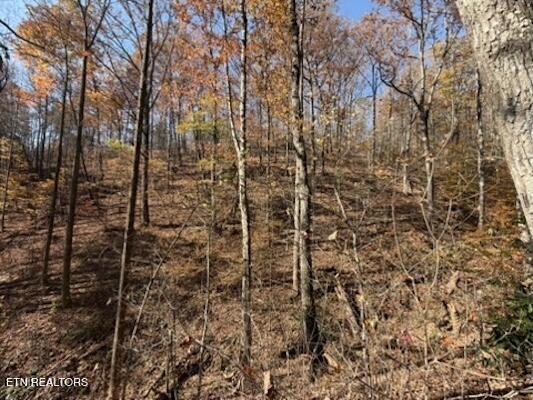 Parcel 053 050.00 Obes Branch Road Sevierville TN 37876
