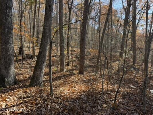 Parcel 053 050.00 Obes Branch Road Sevierville TN 37876