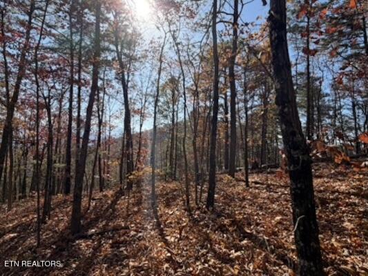 Parcel 053 050.00 Obes Branch Road Sevierville TN 37876