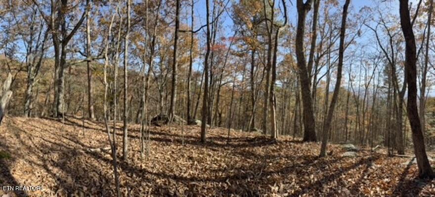 Parcel 053 050.00 Obes Branch Road Sevierville TN 37876