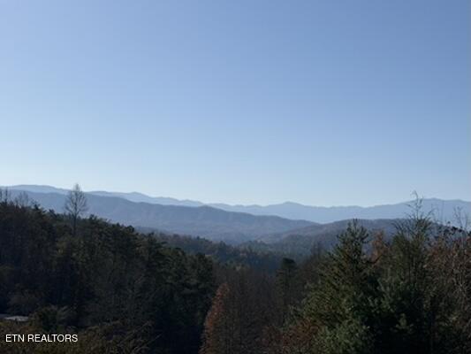 Parcel 053 050.00 Obes Branch Road Sevierville TN 37876