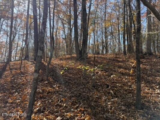 Parcel 053 050.00 Obes Branch Road Sevierville TN 37876
