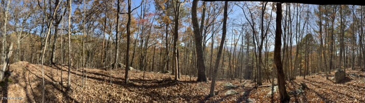 Parcel 053 050.00 Obes Branch Road Sevierville TN 37876