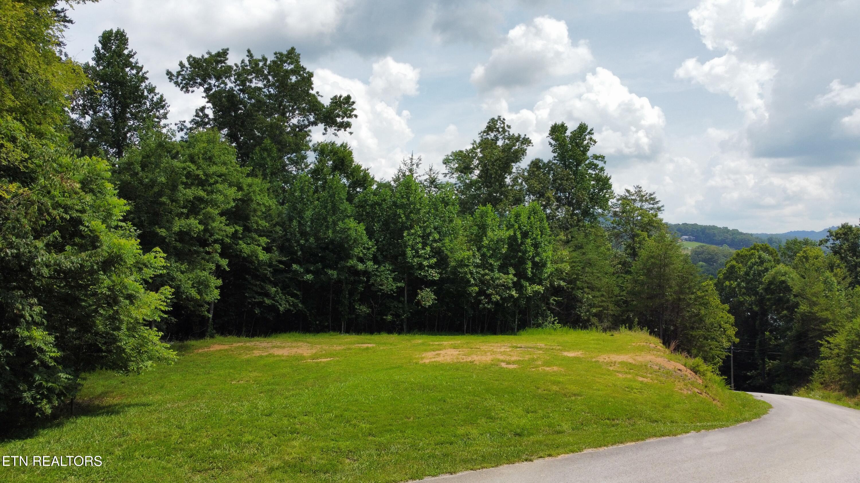 Hayden Drive New Tazewell TN 37825