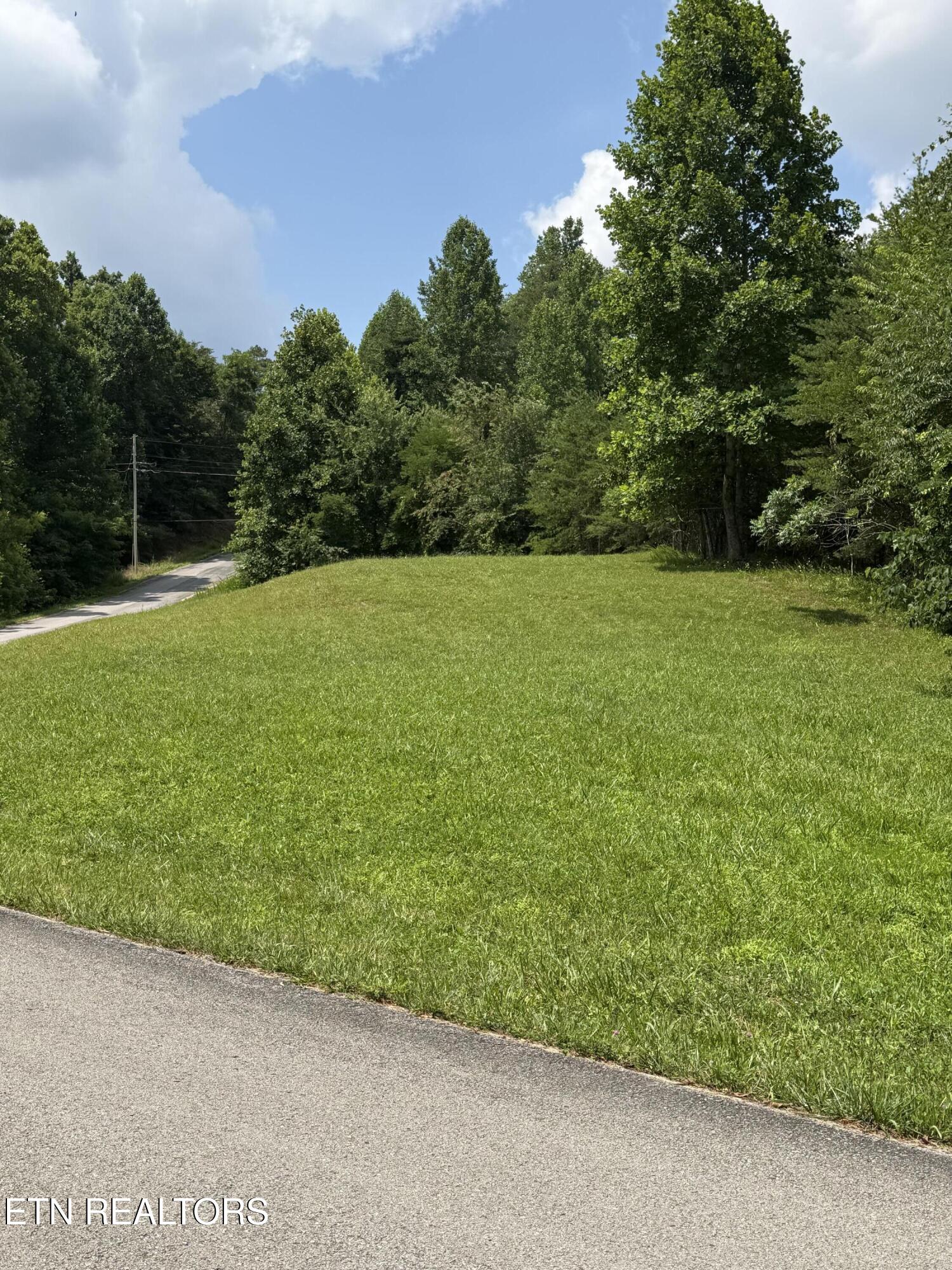 Hayden Drive New Tazewell TN 37825