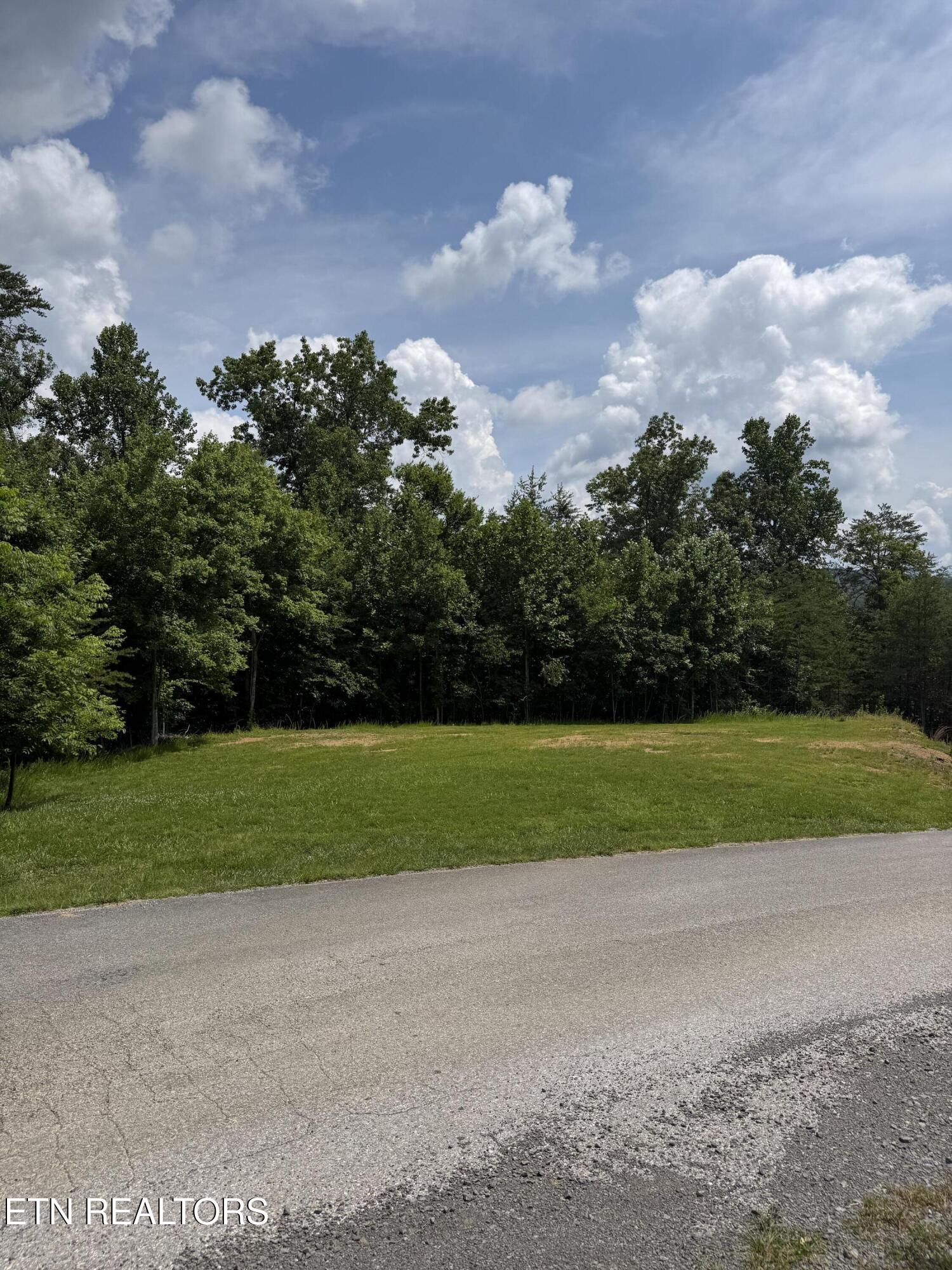 Hayden Drive New Tazewell TN 37825
