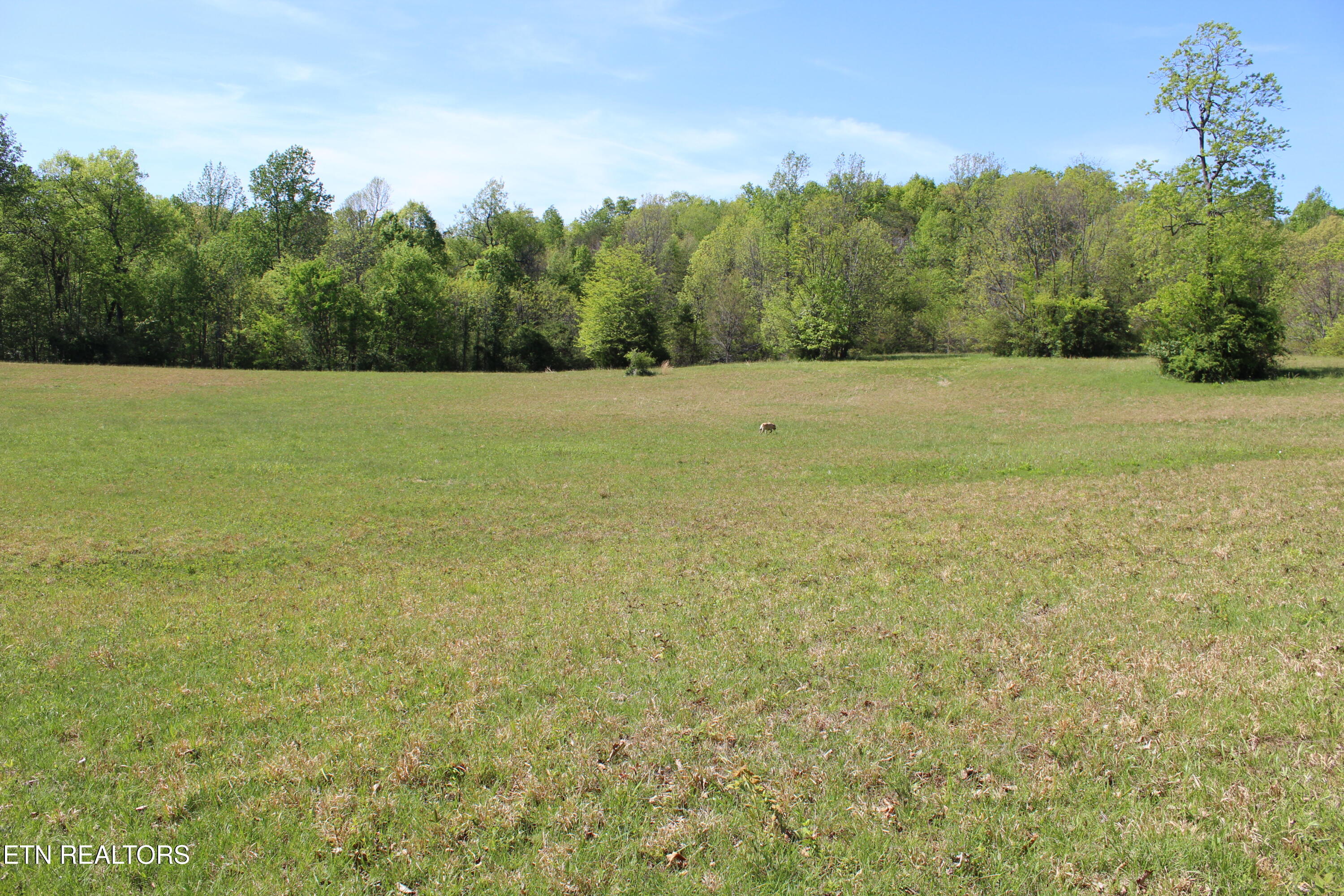 3710 Wayne Bryant Road Louisville TN 37777