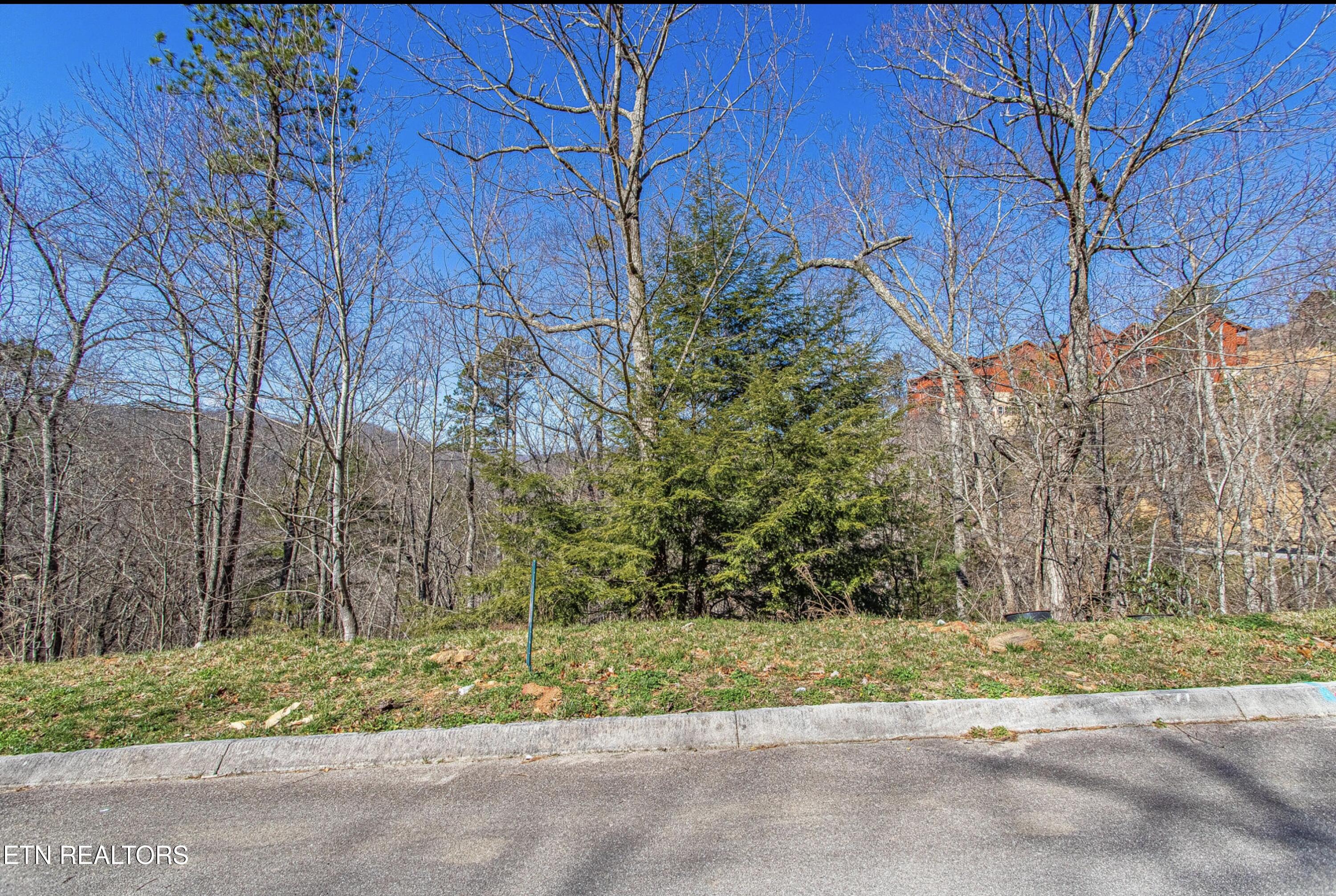 Lot #64 Smoky Ridge Way Sevierville TN 37862