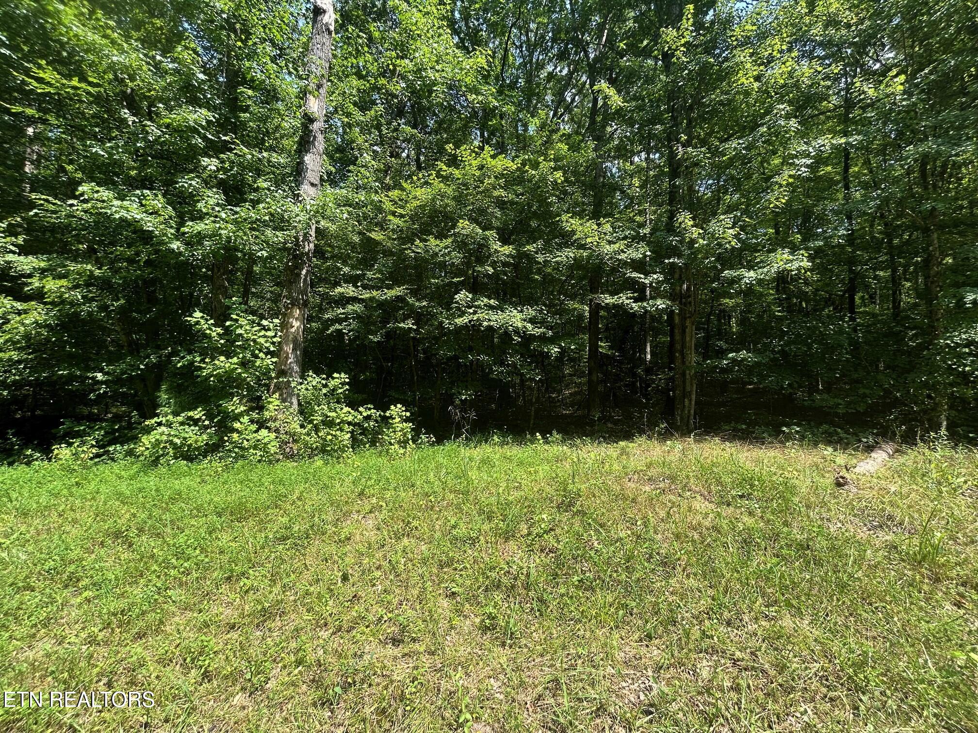Lakeview 1 Highway 304 Ten Mile TN 37880