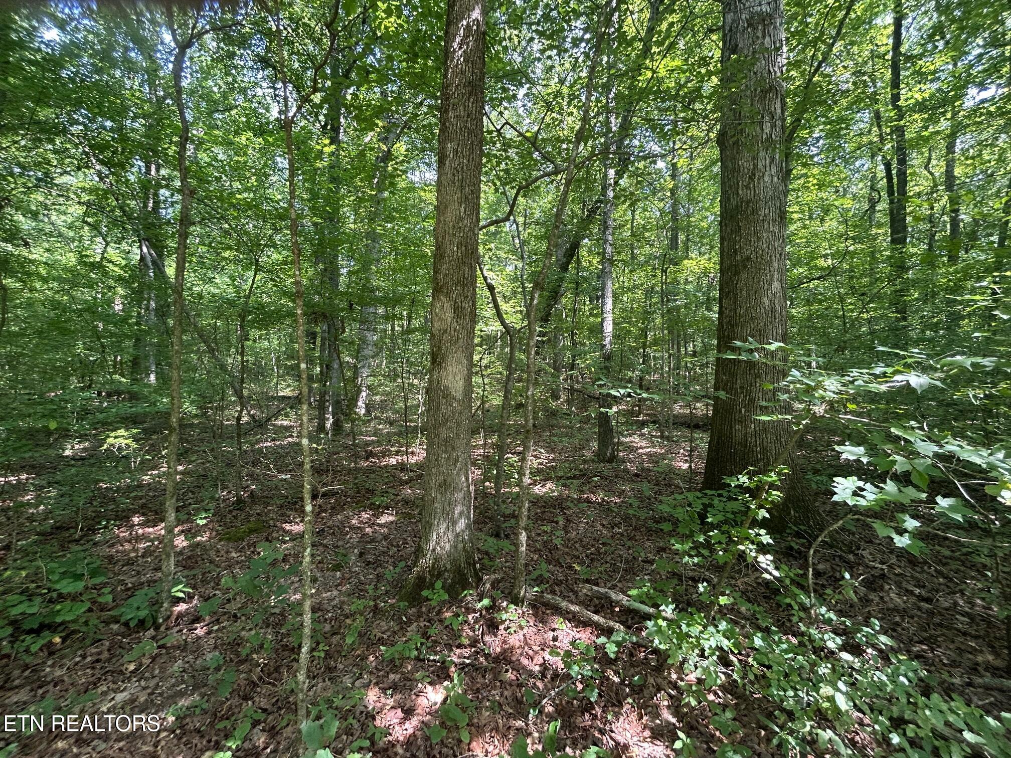 Lakeview 1 Highway 304 Ten Mile TN 37880